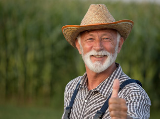 Satisfied farmer in corn field