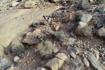 DCIM\100MEDIA\DJI_0010.JPG