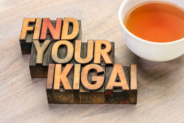 find your ikigai word abstract in wood type