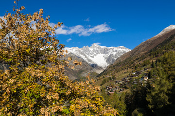 Fototapeta premium OLYMPUS DIGITAL CAMERA