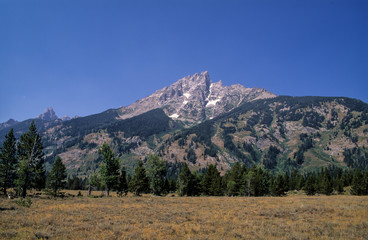 Parc national du Grand Teton, Wyoming, Etats Unis, USA