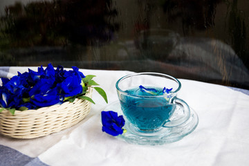 cup of pea tea and flowers on table
