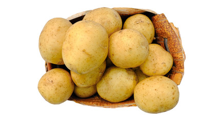 Potatoes in a birch bark box on a white background