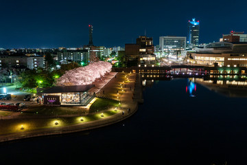 夜桜　富岩運河環水公園 © Nature K Photostudio