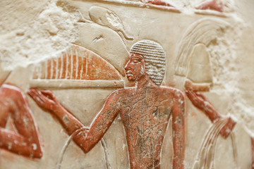 Scenes in Saqqara Necropolis, Cairo, Egypt