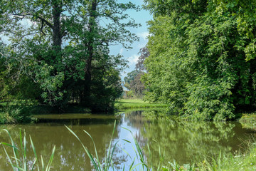 Water landscape with lush greenery and trees