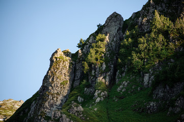 Close shot of a green high cliff