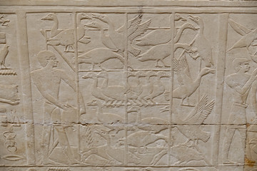 Scenes in Saqqara Necropolis, Cairo, Egypt