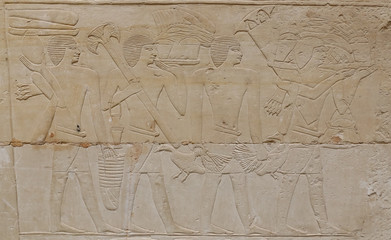Scenes in Saqqara Necropolis, Cairo, Egypt