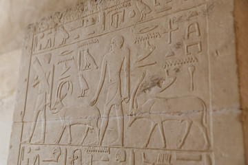 Scenes in Saqqara Necropolis, Cairo, Egypt