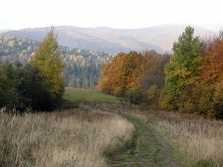 Jesień w Bieszczadach, Polska