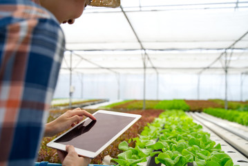 Smart young cute Asian farmer girl using tablet to check quality and quantity of vegetable in...