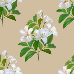  Sampaguita jusmine white flower and green leaves seamless pattern - Vector illustration