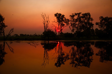 Fototapeta na wymiar Twilight sunset at the swamp at the outback in Northern Australia – wallpaper