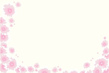 Fototapeta na wymiar Autumn gently pink flowers, chrysanthemum, floral background, greeting card, illustration in vector