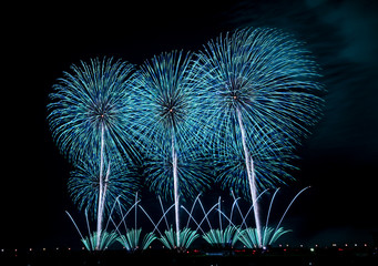 Fireworks celebration