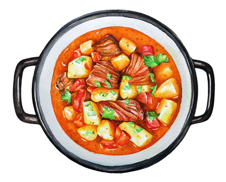 Watercolor illustration of the goulash, beef stew with vegetables.