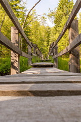 wooden footbridge through the swamp.