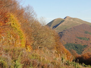 Jesień w Bieszczadach, Polska