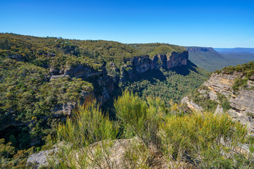 Fototapeta na wymiar hiking to norths lookout, blue mountains national park, australia 4