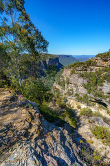 Fototapeta na wymiar hiking to norths lookout, blue mountains national park, australia 13