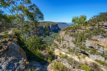 hiking to norths lookout, blue mountains national park, australia 16