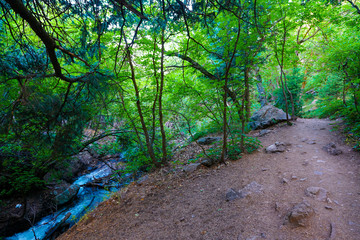 View along Adams Canyon trail near Layton, Utah
