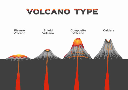 volcano type infographic . vector . volcanic eruption / fissure shield composite and caldera	