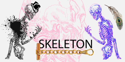 Human skeleton posing isolated over white background vector illustration. Black silhouette isolated on white background.