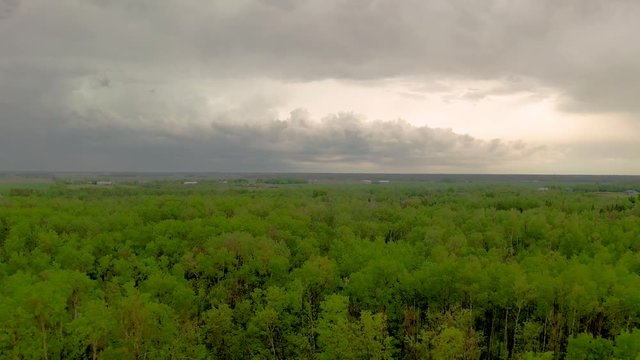 Drone flies over densely wooded forest in Manitoba, Canada, lush green colors. Aerial footage of amazing cloud formation at the horizon. Drone nearing forest canopy.