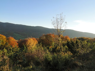 Jesień w Bieszczadach, Polska