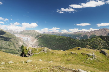 Fototapeta premium OLYMPUS DIGITAL CAMERA