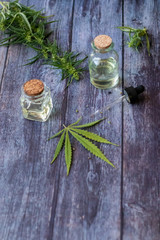 Cannabis herb and leaves for treatment with decoction, tincture, extract, oil. Hemp oil. Selective focus.