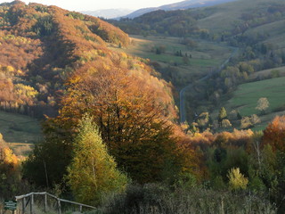 Jesień w Bieszczadach, Polska