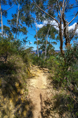 Obraz premium hiking the pulpit rock track, blue mountains national park, australia 27