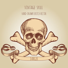 Human skull. Pirate symbol. Jolly Roger. Hand drawn sketch vector