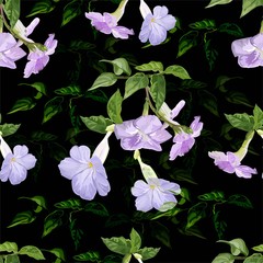 Fototapeta na wymiar Purple trumpet vine flower seamless pattern vector illustration
