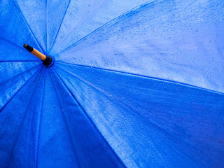  Close Up of Raindrops on  Blue Umbrella