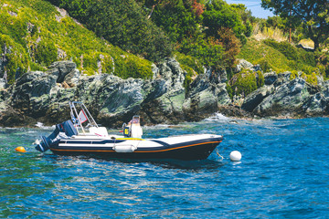 Fototapeta na wymiar sport boat with an engine floats in the sea