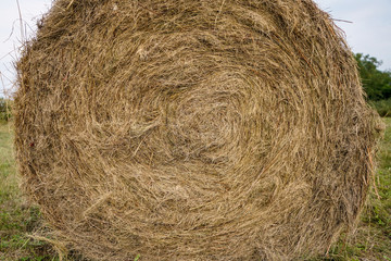 Round haystack in the field closeup. Background