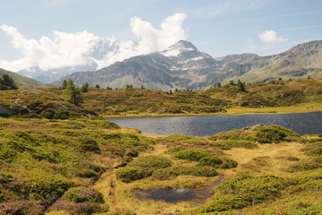 Obraz premium OLYMPUS DIGITAL CAMERA