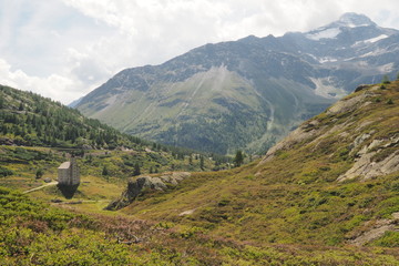 Obraz premium OLYMPUS DIGITAL CAMERA