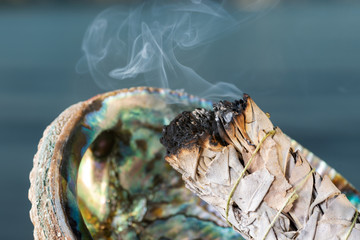 Smudging Ritual using burning thick leafy bundle of White Sage in bright polished Rainbow Abalone...