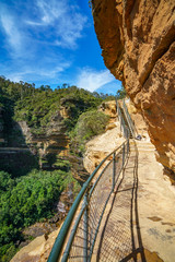 Fototapeta premium hiking in the blue mountains national park, australia