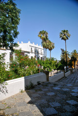 Fototapeta na wymiar Andalusia street view of Puerto de Santa Maria in Spain in summer with palm trees