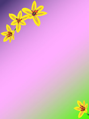Obraz na płótnie Canvas Background frame for a greeting lettering with yellow flowers on a magenta background with blue