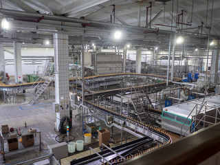 Fototapeta premium Equipment for making beer..Automatic Beer bottling line. modern brewery. production process of brewing. Beer production mode. Interior view of modern conveyor shop for bottling products