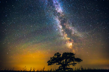 Landscape with Milky way galaxy over the oak tree