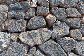 Colorful cactus plants varieties growing on volcanic lava sand soil in cactus garden near Quatiza, Lanzarote, Canary Islands, Spain.