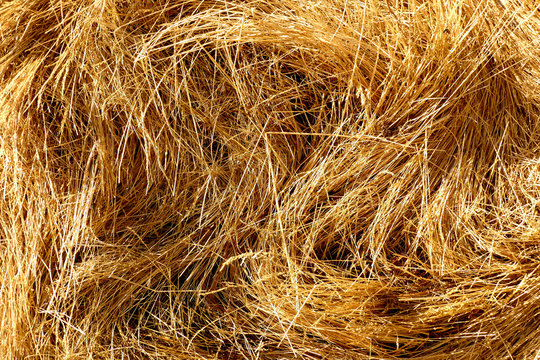 foin paille